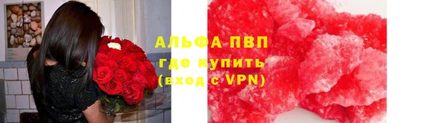 сатива Абинск