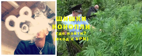 сатива Абинск