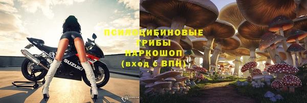 сатива Абинск